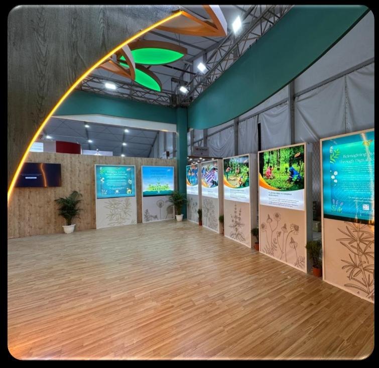 Himalaya Wellness — A pavilion grown, not built